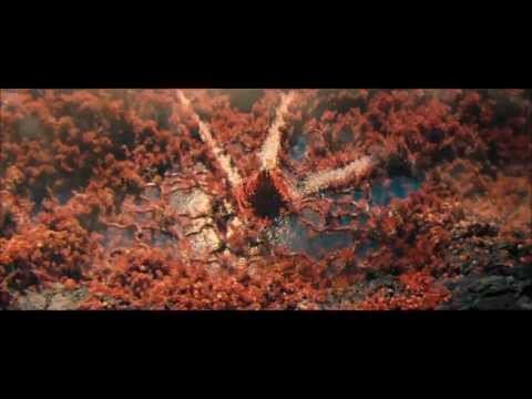 Star Trek Into Darkness MV [Fan trailer]