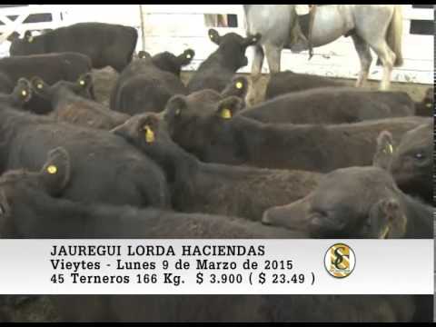 Venta de Machos - Jauregui Lorda - Vieytes. 09-03-2015