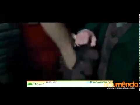 Harry Potter and the deathly Hallows clips- after the wedding