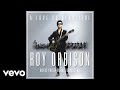 Roy Orbison - A Love So Beautiful (with the Royal Philharmonic Orchestra) (Audio)