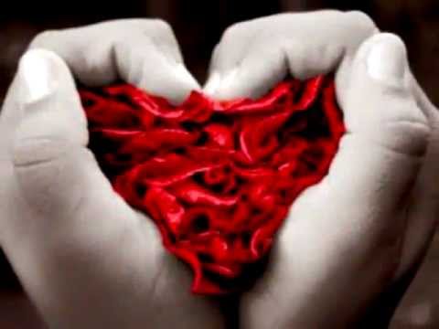 Jose Maria Napoleón   * Nos pasaran la factura