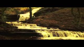 DARK FOREST "Sons of England"