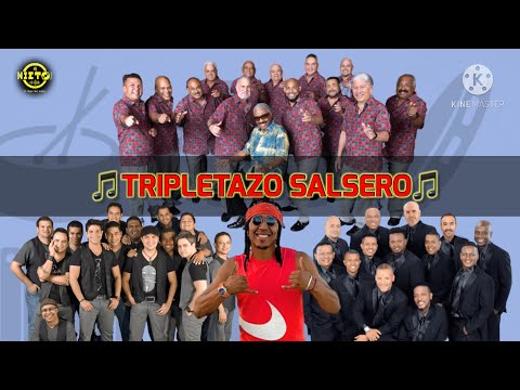 SALSA MIX || Grupo Niche || Adolescentes || El Gran Combo De Puerto Rico || DJ NIETO