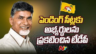 TDP Announces Pending Seats Candidates List | Ntv