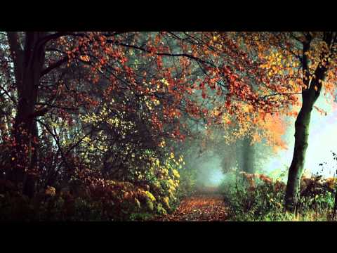 Autumn's Kingdom - November Remembrances