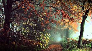 Autumn's Kingdom - November Remembrances