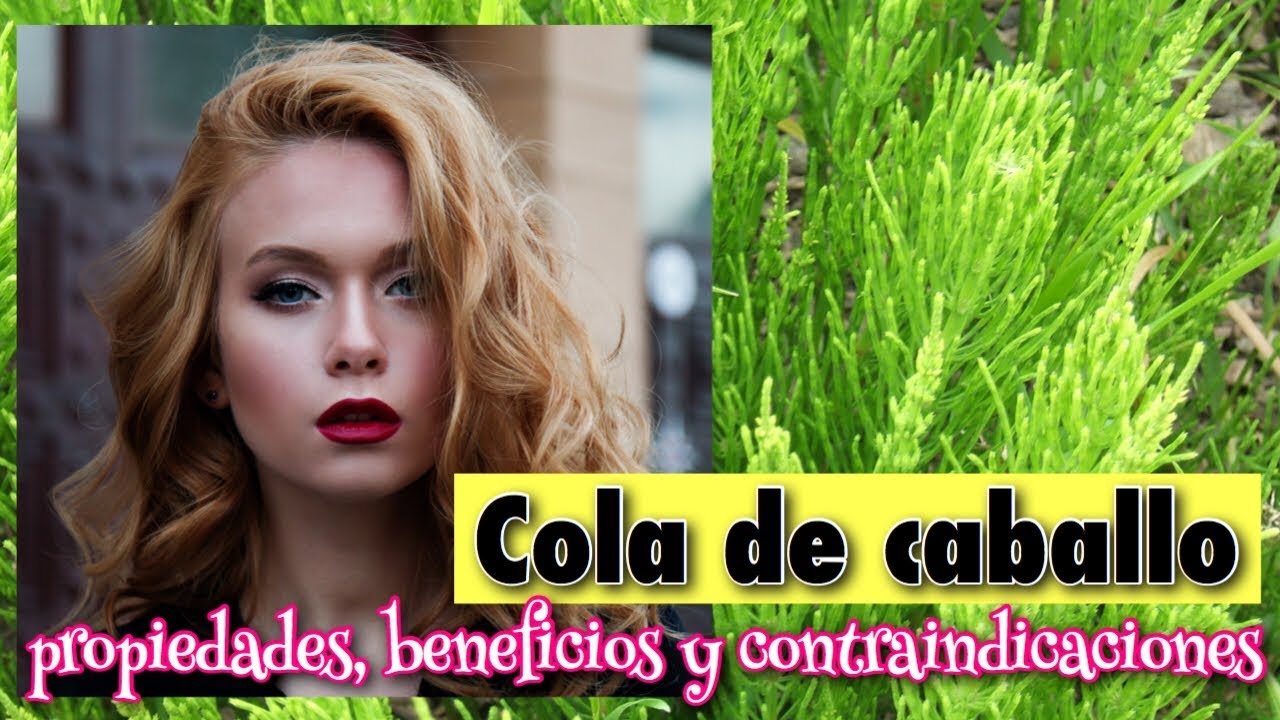 ▶︎▶︎ NO TOMES COLA DE CABALLO SIN VER ESTO ANTES!! 😱