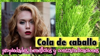 ▶︎▶︎ NO TOMES COLA DE CABALLO SIN VER ESTO ANTES!! 😱