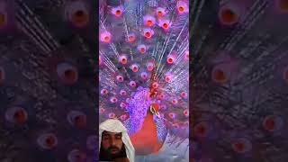 Download lagu https://youtube.com/shorts/3YLgFpkTU9s?si=6TvBJa_d1dDRwx3g mp3