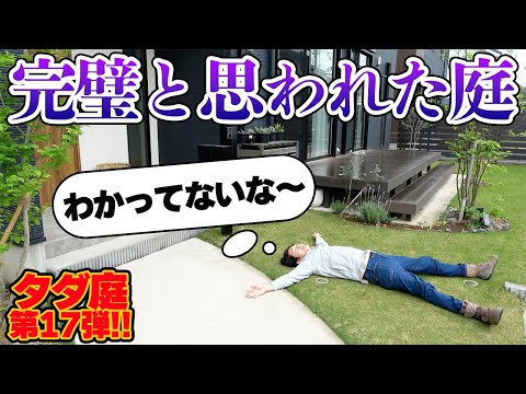 庭の侵入植物とは何ですか？それらの増殖を制限する効果的な方法  庭園