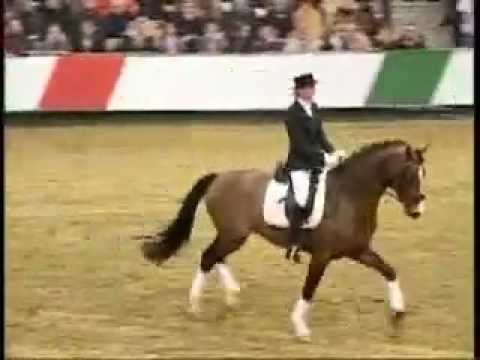 Gut Neuenhof Estobar NRW Privathengstschau Münster Handorf 02/2008