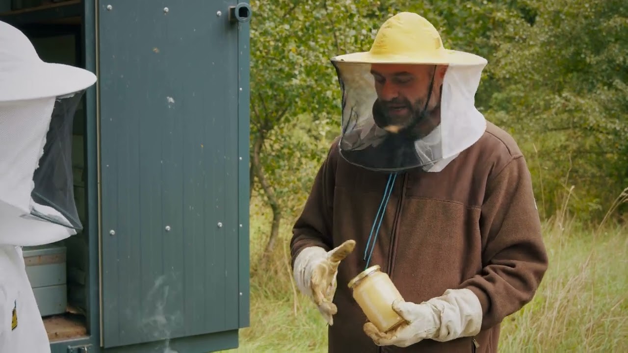 Erdőmánia - Az erdő legédesebb kincse, a MÉZ  // ep.11