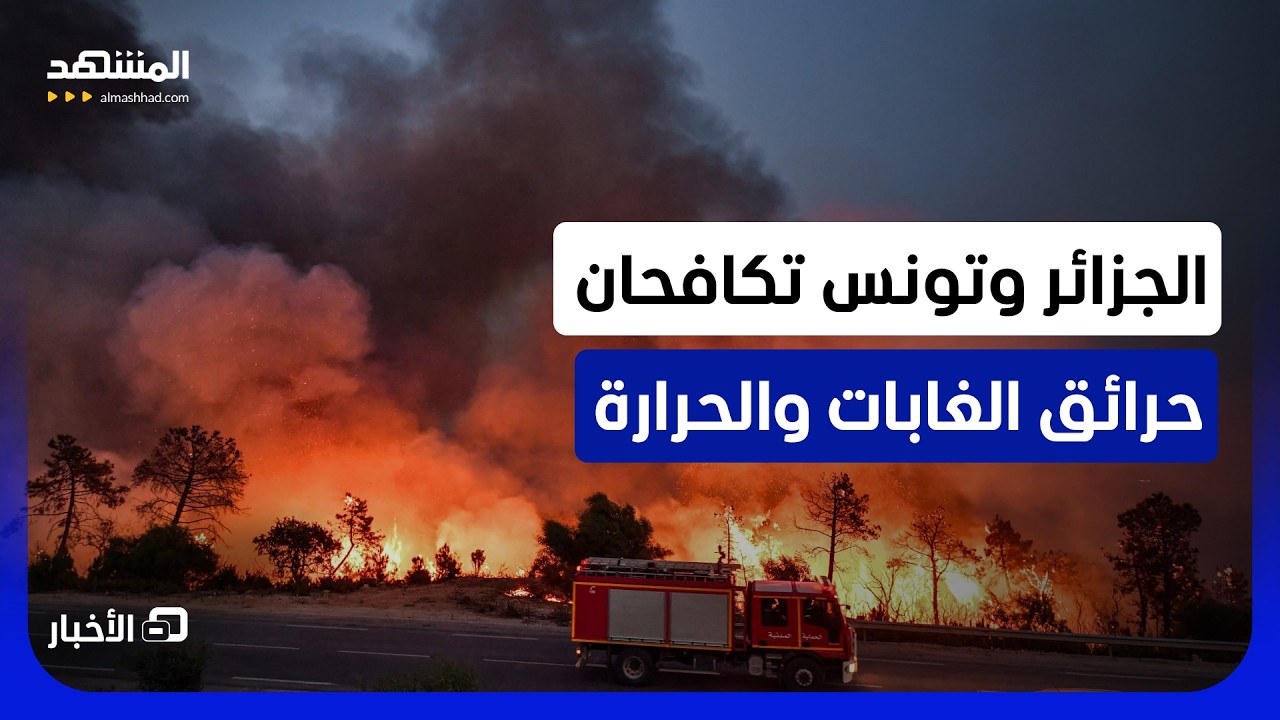 حرائق الغابات تجتاح الجزائر وتونس.. ودرجات الحرارة تسجل مستويات قياسية - نشرة
