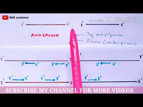 Bt cotton production Bacillus thuringiensis Action of Bt toxin Advantages Cry gene