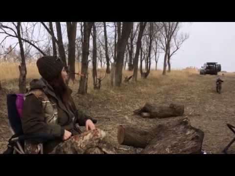 Буч, сгоняй за пивом!