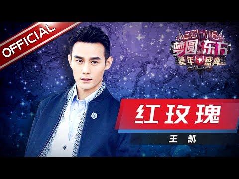 王凯《红玫瑰》—东方卫视2018梦圆东方跨年盛典【东方卫视官方高清】