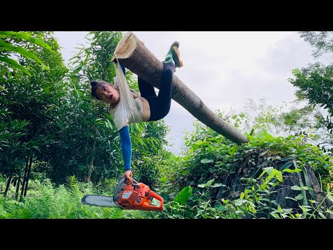 agricultural vehicle transporting wood girl quite dangerous when logging