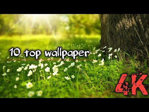 top 10 wallpaper nature | nature wallpaper | beautiful nature wallpaper | wallpaper nature
