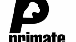 Primate Recordings (Primate 100 EP) - Destructive Phaze - A2 - tcp