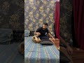 Lion Cub Playing With Pillow Foryou Trending Viralreels Tiktok Ytshorts Yt Life Animals