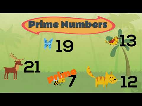 Prime and Composite Numbers | Maths | EasyTeaching