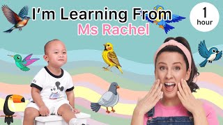 Toddler September Playtime Compilation – Fun Moments & Smiles!