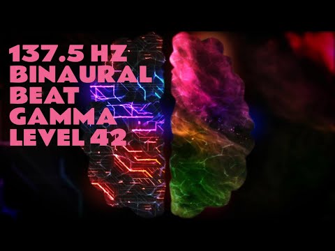 137.5Hz Gamma Wave Binaural Beat High Level Cognitive Memory Recall and Awareness Level 42