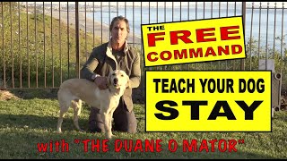 Teach Your Dog To STAY - The FREE Command - the Release - Dog Training Video