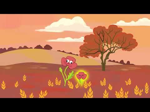 Video thumbnail for just be