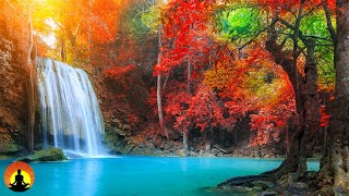 Study Music, Meditation, Relaxing Music, Concentration, Calm Music, Work Music, Focus, Study, ☯3624 Study Music, Meditation, Relaxing Music, Concentration, Calm Music, Work Music, Focus, Study, ☯3624