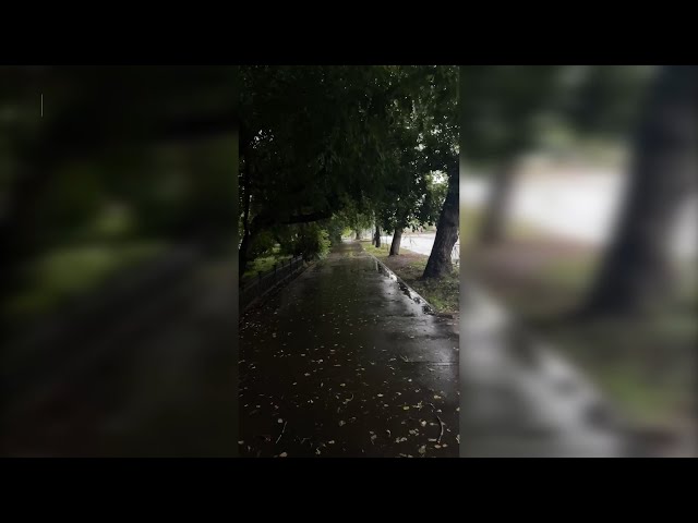 На Приангарье обрушился проливной дождь, гроза и сильный ветер