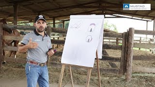 TV UC - Cascos - doença da linha branca