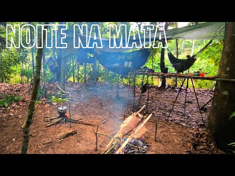 Acampamento SELVAGEM na floresta — a pescaria SALVOU a Noite