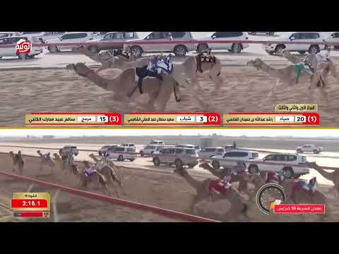  ش 15 (الزعيم) لـ ثاني عبدالله بن ثاني النعيمي 4:29:27 ، شارة الديوان 2026/10/04 حقايق الوثبة