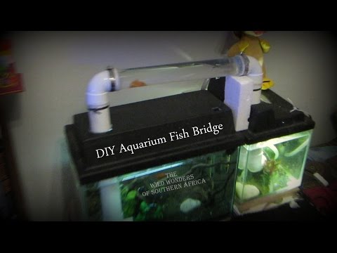 DIY Aquarium Fish Bridge