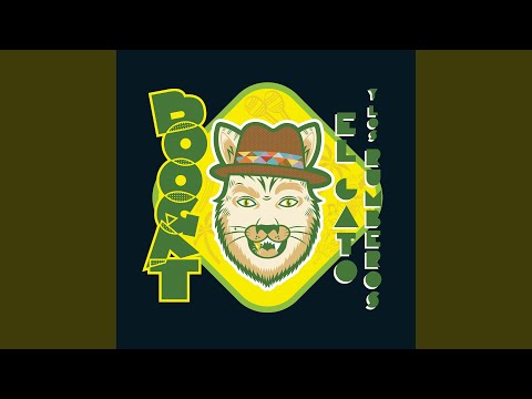 El Gato Rumbero
