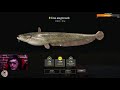 Фото Русская Рыбалка 4 ► Russian Fishing 4 ► Фарм на тунгуске!