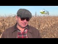 Насіння Кукурудзи ЛГ 31377