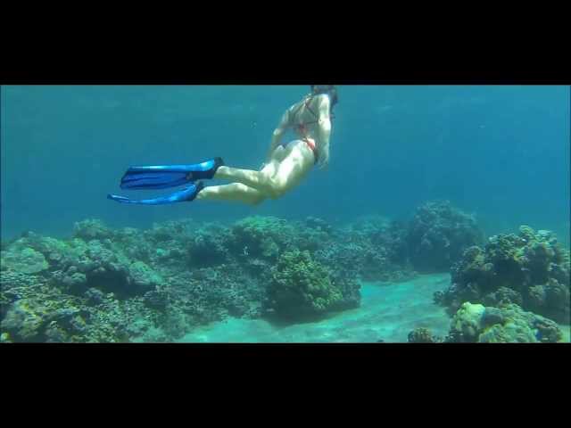 Maui Dive Girl Exploring Reef Go Pro Hero 3