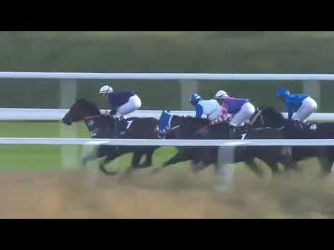 2016.09.11 Nickes Minneslöpning (SWE) - Guerre