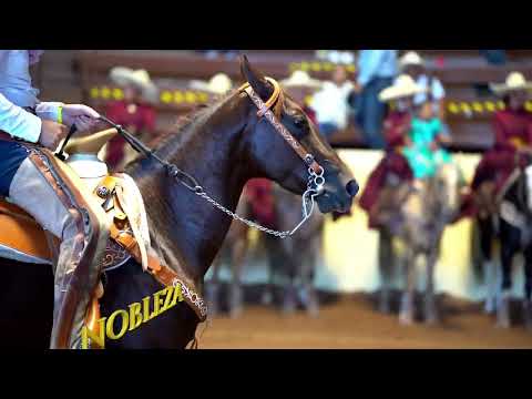 Caladero del Millón 2022