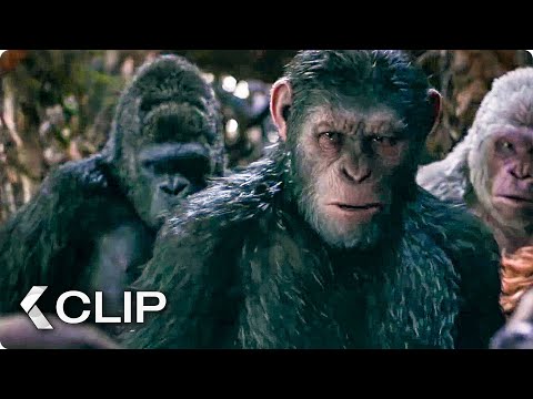 I Did Not Start This War Movie Clip - War for the Planet of the Apes (2017)