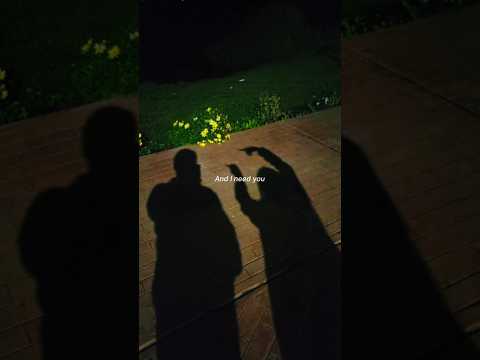 Nelly - Dilemma (Lyrics) | Nelly, I love you I do need you | Aesthetic #nelly #dilemma