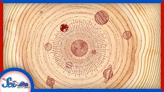 The Astronomical Records in… Trees?