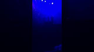 SNC Sing We Now Of Christmas