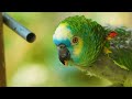 Рэй Коннифф. Прекрасная любовь.  Ray Conniff. Beautiful Love.