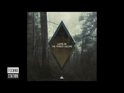 Luis M - Anomalie | Techno Station