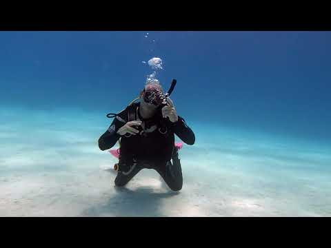 IDC Skills - Skill no. 15 - Orally inflate BCD to Hover