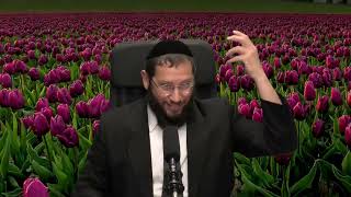 פרשת שמיני - התמודדות עם ייסורים – הרב אייל אונגר (הרב אייל אונגר) - התמונה מוצגת ישירות מתוך אתר האינטרנט יוטיוב. זכויות היוצרים בתמונה שייכות ליוצרה. קישור קרדיט למקור התוכן נמצא בתוך דף הסרטון פרשת שמיני - התמודדות עם ייסורים – הרב אייל אונגר (הרב אייל אונגר) - התמונה מוצגת ישירות מתוך אתר האינטרנט יוטיוב. זכויות היוצרים בתמונה שייכות ליוצרה. קישור קרדיט למקור התוכן נמצא בתוך דף הסרטון