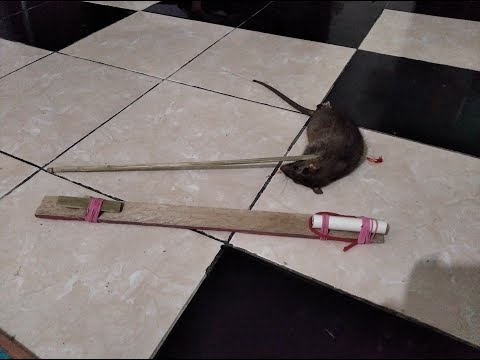 Membuat Tembakan Tikus Dengan Bahan Seadanya